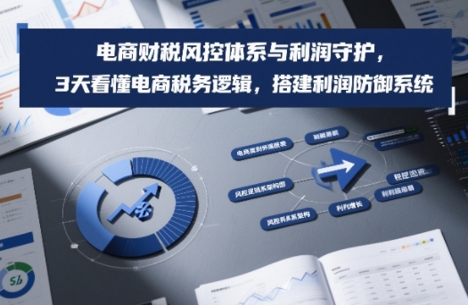 电商财税风控体系与利润守护，3天看懂电商税务逻辑，搭建利润防御系统-最全项目网