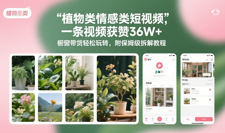 植物类情感类短视频，一条视频获赞36W+，橱窗带货轻松玩转，附保姆级拆解教程-最全项目网