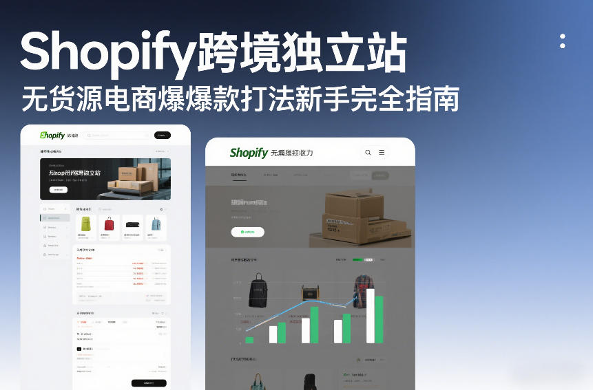 Shopify跨境独立站无货源电商爆款打法新手完全指南-最全项目网
