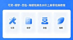可灵–即梦–豆包–海螺视频去水印工具带视频教程-最全项目网