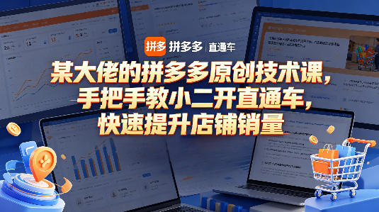 某大佬的拼多多原创技术课，手把手教小二开直通车，快速提升店铺销量-最全项目网