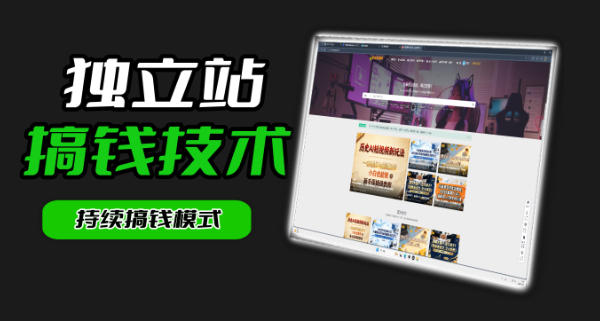 干货来袭！麦子甜带你吃透独立站｜从搭建到引流一站式教学《独立站》第一期-最全项目网
