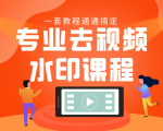 专业去视频水印教程 静态水印、动态水印、文字水印、图片水印一套教程通通搞定-最全项目网