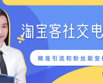 某站内部课程:淘宝客社交电商裂变,精准引流和粉丝裂变模式详解(共6节视频)-最全项目网
