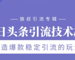 狼叔今日头条引流技术3.0,打造爆款稳定引流的玩法,VLOG引流技术-最全项目网