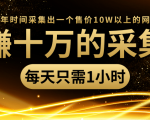 年赚十万的采集站，每天却只需要1小时，一年时间采集出一个售价10W以上的网站-最全项目网