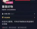 爆抖联盟蔷薇好物连怼100技术,一天连怼上百个视频,单场直播平均带货30万玩法-最全项目网