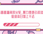 抖音直播间风火轮，暴力微信引流技术，低成本日加上千法-最全项目网