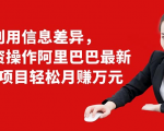 利用信息差异，零投资操作阿里巴巴最新管道项目轻松月赚10000+-最全项目网