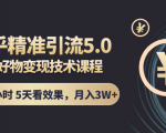 知乎精准引流5.0+知乎好物变现技术课程：每天1-2小时5天看效果，月入3W+-最全项目网