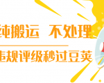 抖音纯搬运 不处理 小技巧,30秒发一个作品,避免违规评级秒过豆荚-最全项目网