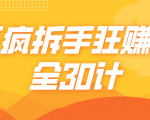 三疯拆手狂赚计,全30计课程-最全项目网