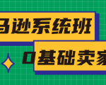 亚马逊系统班，专为0基础卖家量身打造，亚马逊运营流程与架构-最全项目网