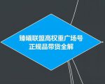臻曦联盟抖音高权重广场号无人直播正规品带货全解-最全项目网