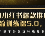 小红书爆款推广引流训练课5.0，手把手带你玩转小红书（17节实操视频+话术）-最全项目网