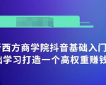 抖音基础入门班:小白0基础学习打造一个高权重赚钱的抖音号-最全项目网