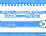 视频号新机制与不刷赞撸养生茶玩法,轻松日赚1000+-最全项目网