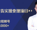 柚子分享课:微信视频号变现攻略,新手零基础轻松日赚千元-最全项目网
