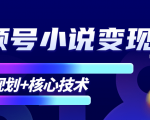 柚子微信视频号小说变现项目,全新玩法零基础也能月入10000+【核心技术】-最全项目网