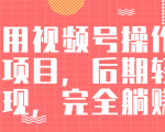 视频号操作书单变现项目,后期轻松变现,完全躺赚日入300至500元-最全项目网