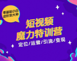 零基础小白进阶到大神《短视频魔力特训营》定位-运营-引流-变现-最全项目网