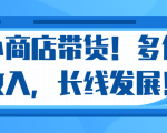 微信小商店带货，爆单多倍收入，长期复利循环！日赚300-800元不等-最全项目网