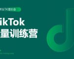 2020最新TikTok流量增长训练营(完结)附PPT-最全项目网
