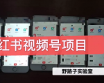 野路子小红书视频号1.0项目,直接上手操作就能赚钱的视频号项目-最全项目网