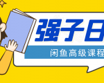 闲鱼高级课程:单号一个月一万左右 有基础的,批量玩的5万-10万都不是难事-最全项目网