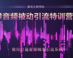 黄岛主·FM音频引流特训营2.0：独家引流模式，单账号50W+播放量，轻松变现-最全项目网