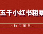 月入五千小红书粗暴赚钱玩法,适合上班族的赚钱副业-最全项目网