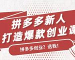 拼多多新人打造爆款创业课:快速引流持续出单,适用于所有新人-最全项目网
