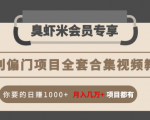 暴利偏门项目全套合集视频教程:你要的日赚1000+月入几万+项目都有-最全项目网