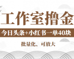 工作室撸金二件套:撸今日头条原创收益+小红书一单利润40块项目-最全项目网