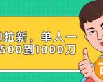 Paypal拉新赚美刀项目，单人一天利润500-1000刀【视频课程】-最全项目网