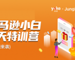 雨课·亚马逊小白特训营第9期 跨境电商挺赚钱的 有朋友已经月入几十万美金-最全项目网