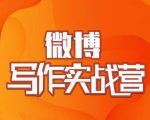 村西边老王·微博超级写作实战营，帮助你粉丝猛涨价值999元-最全项目网