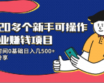 20多个新手可操作的副业赚钱项目：业余时间0基础日入几500+实操分享-最全项目网