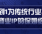 从0到1为传统行业打造抖音商业IP简单高效的保姆级攻略-最全项目网