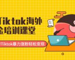 最新Tiktok海外掘金培训课堂:带你玩转Tiktok暴力涨粉轻松变现-最全项目网