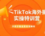TikTok海外掘金实操特训营：手把手教运营变现赚钱-最全项目网