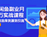 2021闲鱼副业月入过万实战课程：从开店到选择货源到引流，全程实战教学-最全项目网