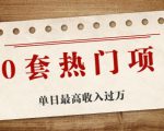 30套热门项目：单日最高收入过万 (网赚项目、朋友圈、涨粉套路、抖音、快手)等-最全项目网