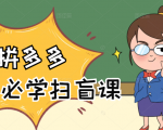 拼多多商家开店入门必学,0基础新手小白扫盲课(58节视频课程)-最全项目网