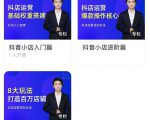 湛北·抖音小店入门进阶高阶合集，八大玩法打造百万店铺-最全项目网