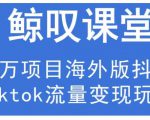 鲸叹号·海外TIKTOK训练营，百万项目海外版抖音tiktok流量变现玩法-最全项目网