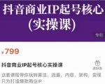 抖音商业IP起号核心实操课,带你玩转算法,流量,内容,架构,变现-最全项目网
