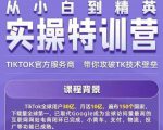 Seven漆·2022Tiktok从小白到精英实操特训营,带你掌握Tiktok账号运营-最全项目网