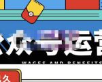 零零已久·从0-1运营公众号，零基础小白也能上手，系统性了解公众号运营-最全项目网