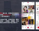 麦子互娱短视频带货·0基础做好物分享账号，无需出镜无需货源无需拍摄-最全项目网